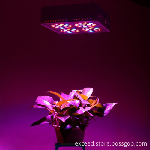 650mA 4kg led grow light